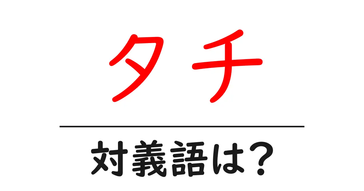 タチの対義語・反対語を使用例を交えて分かりやすく解説!