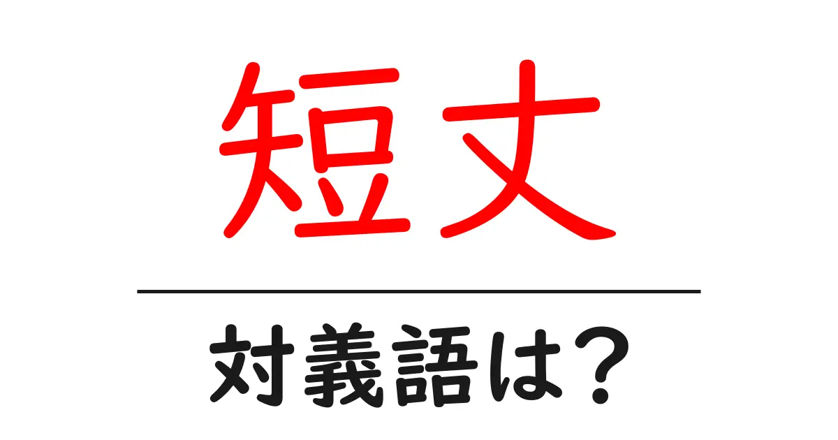 短丈の対義語・反対語を使用例を交えて分かりやすく解説！