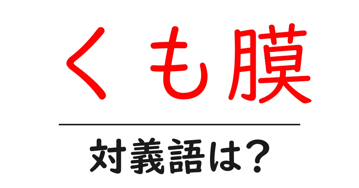 くも膜の対義語・反対語を使用例を交えて分かりやすく解説!