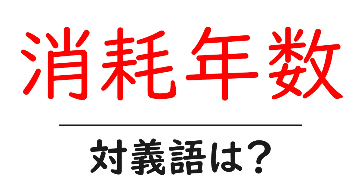 消耗年数の対義語・反対語を使用例を交えて分かりやすく解説！