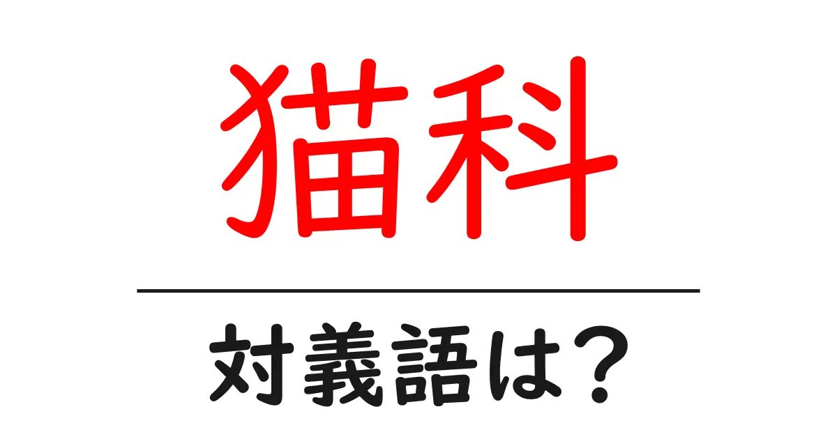 猫科の対義語・反対語を使用例を交えて分かりやすく解説！