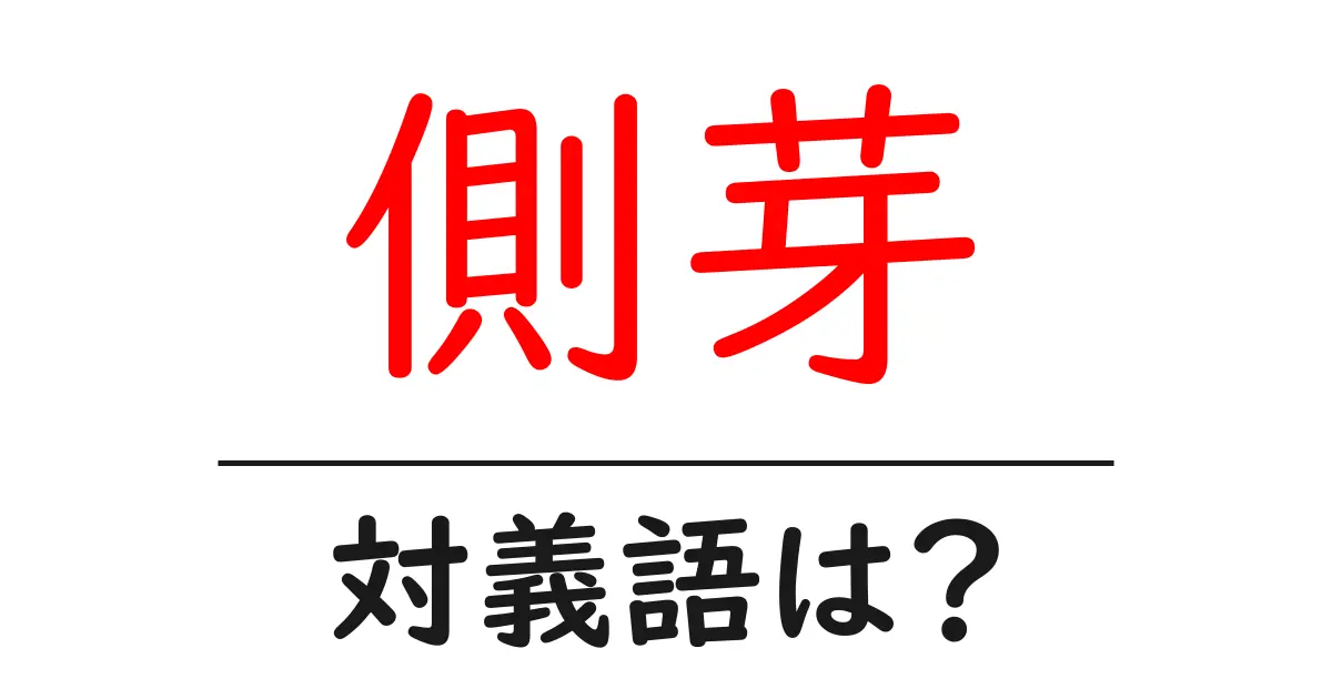 側芽の対義語・反対語を使用例を交えて分かりやすく解説!