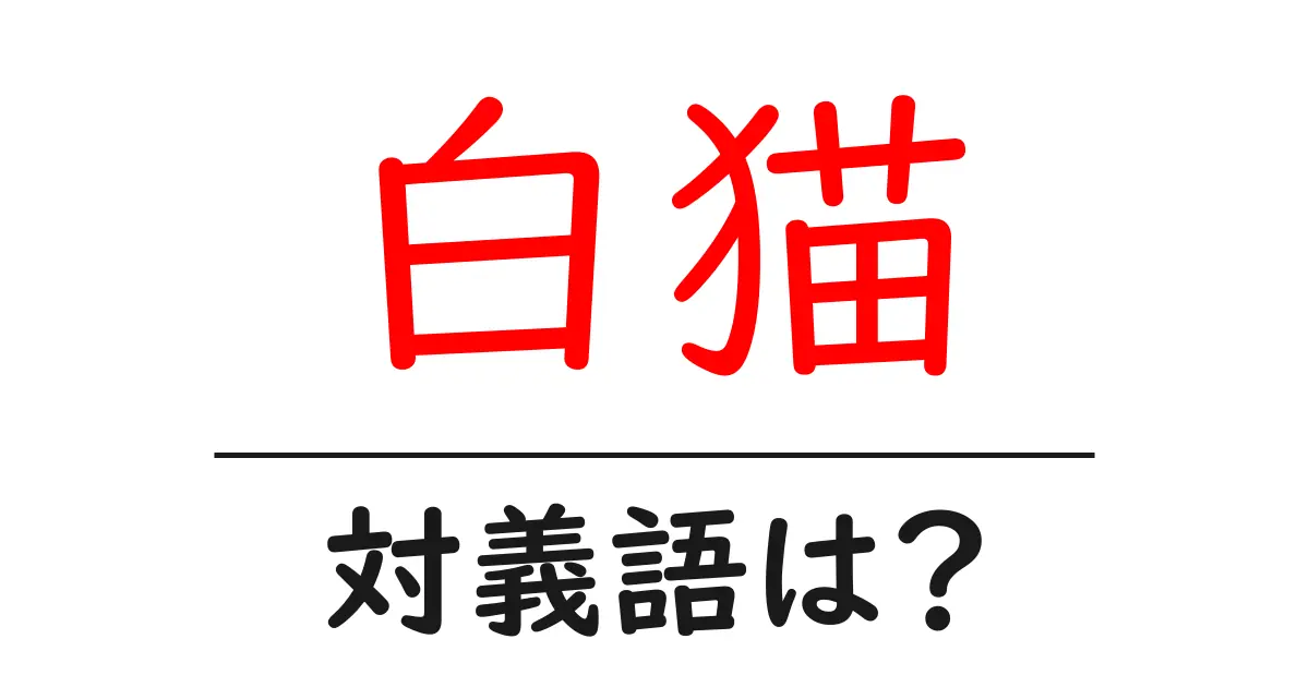 白猫の対義語・反対語を使用例を交えて分かりやすく解説!