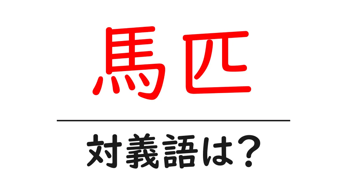 馬匹の対義語・反対語を使用例を交えて分かりやすく解説!
