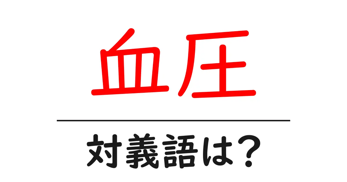 血圧の対義語・反対語を使用例を交えて分かりやすく解説!