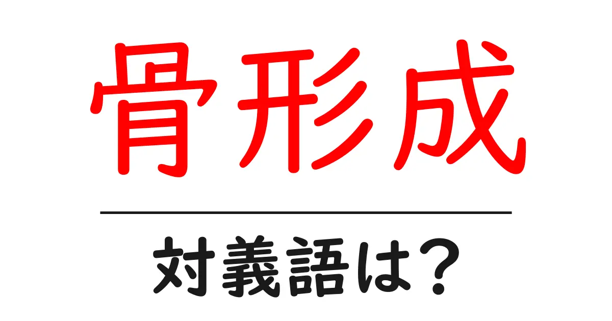 骨形成の対義語・反対語を使用例を交えて分かりやすく解説!