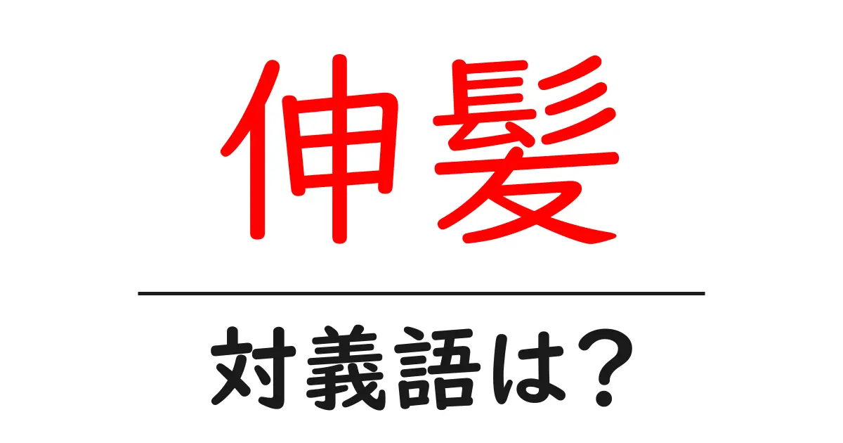 伸髪の対義語・反対語を使用例を交えて分かりやすく解説!