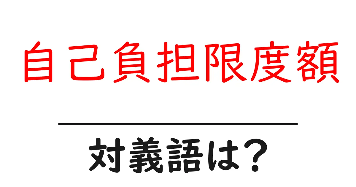 自己負担限度額の対義語・反対語を使用例を交えて分かりやすく解説!