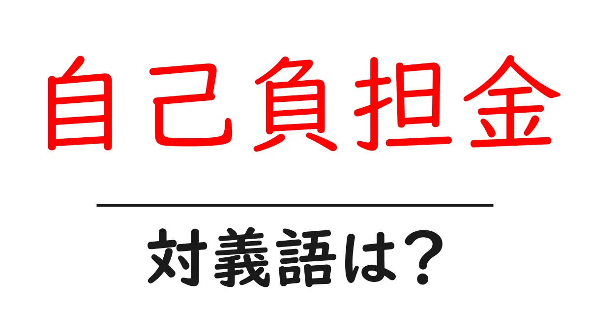自己負担金の対義語・反対語を使用例を交えて分かりやすく解説!