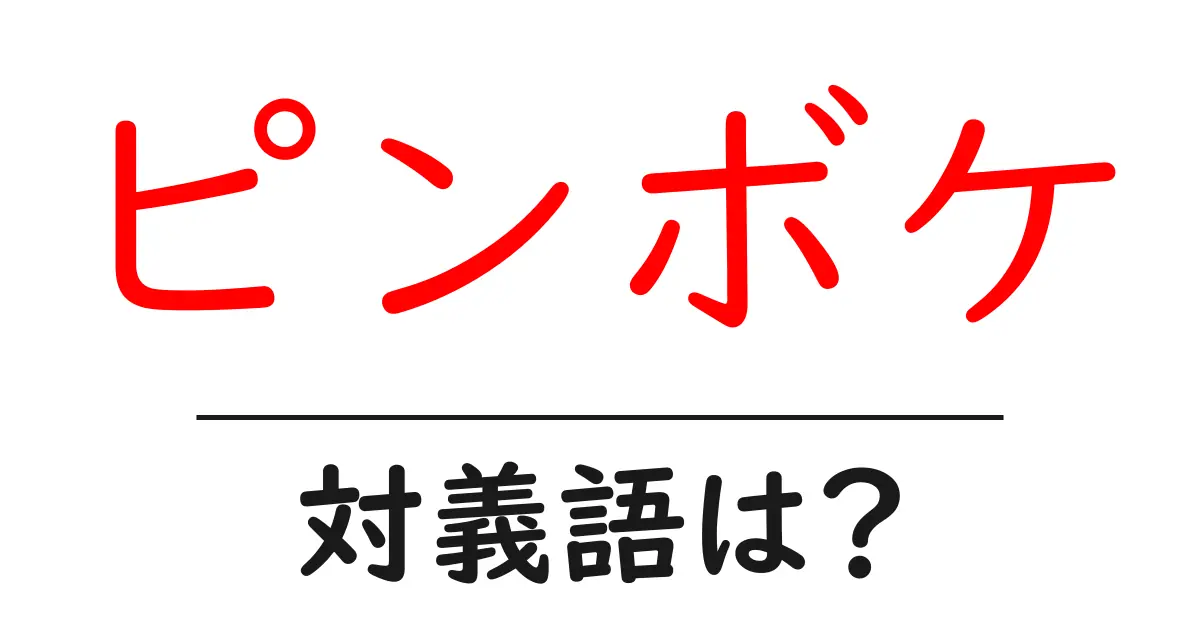 ピンボケの対義語・反対語を使用例を交えて分かりやすく解説!