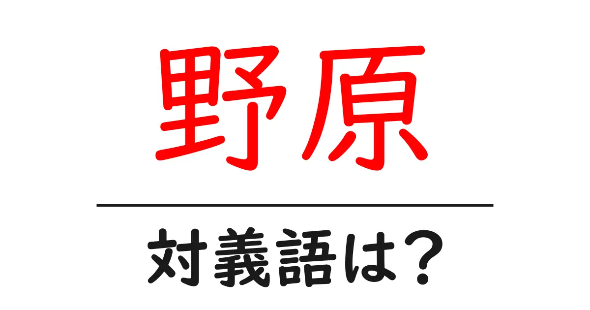 野原の対義語・反対語を使用例を交えて分かりやすく解説!