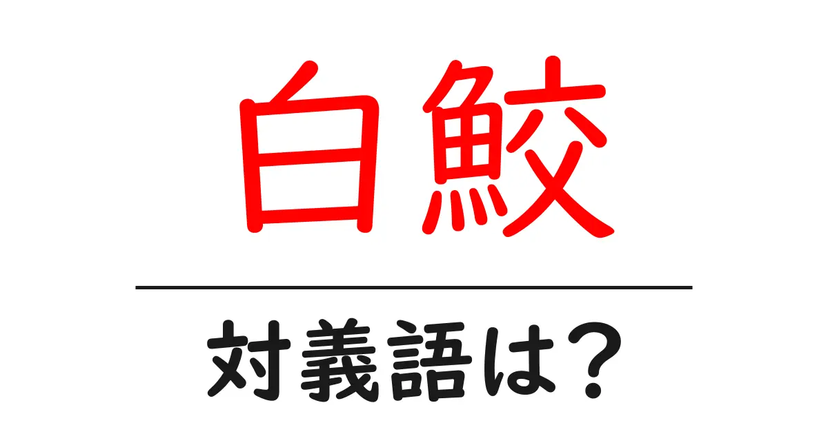 白鮫の対義語・反対語を使用例を交えて分かりやすく解説!