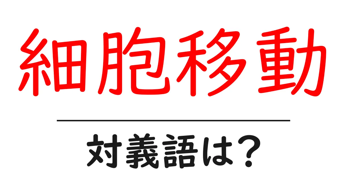 細胞移動の対義語・反対語を使用例を交えて分かりやすく解説！