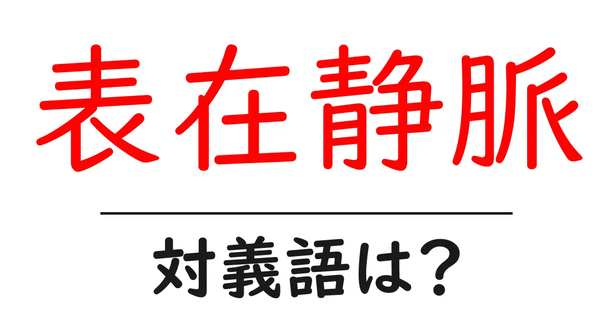 表在静脈の対義語・反対語を使用例を交えて分かりやすく解説！