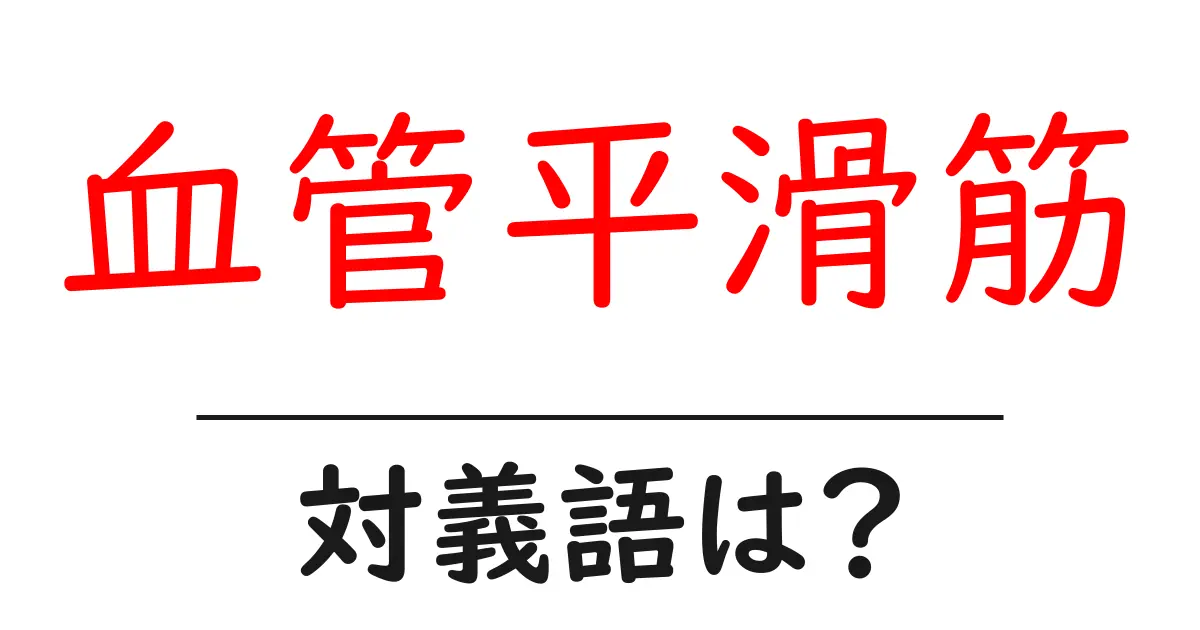 血管平滑筋の対義語・反対語を使用例を交えて分かりやすく解説!