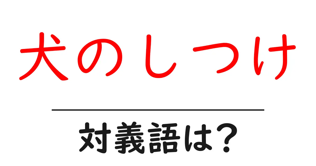 犬のしつけの対義語・反対語を使用例を交えて分かりやすく解説!