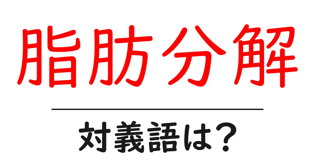 脂肪分解の対義語・反対語を使用例を交えて分かりやすく解説!