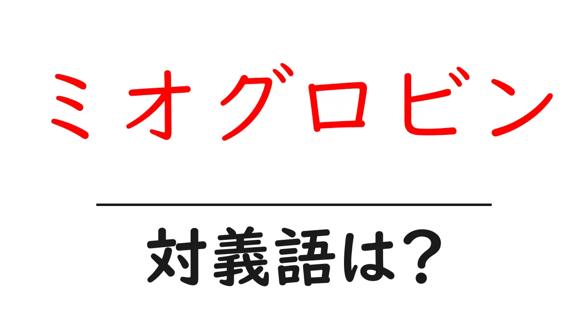 ミオグロビンの対義語・反対語を使用例を交えて分かりやすく解説!