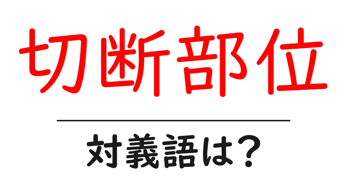 切断部位の対義語・反対語を使用例を交えて分かりやすく解説!