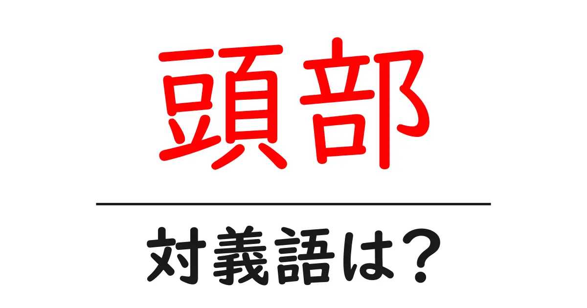 頭部の対義語・反対語を使用例を交えて分かりやすく解説!
