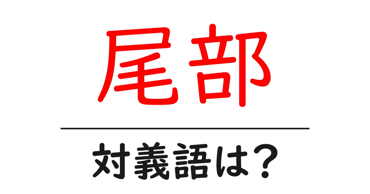 尾部の対義語・反対語を使用例を交えて分かりやすく解説!