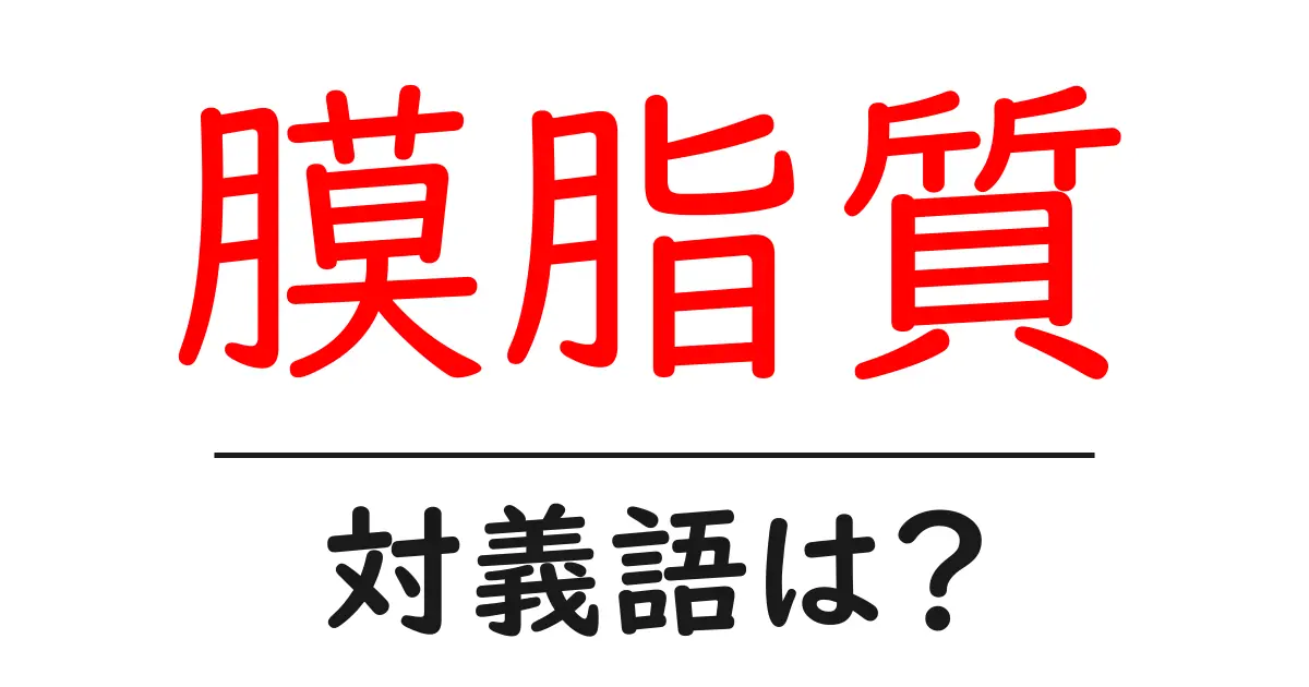 膜脂質の対義語・反対語を使用例を交えて分かりやすく解説!
