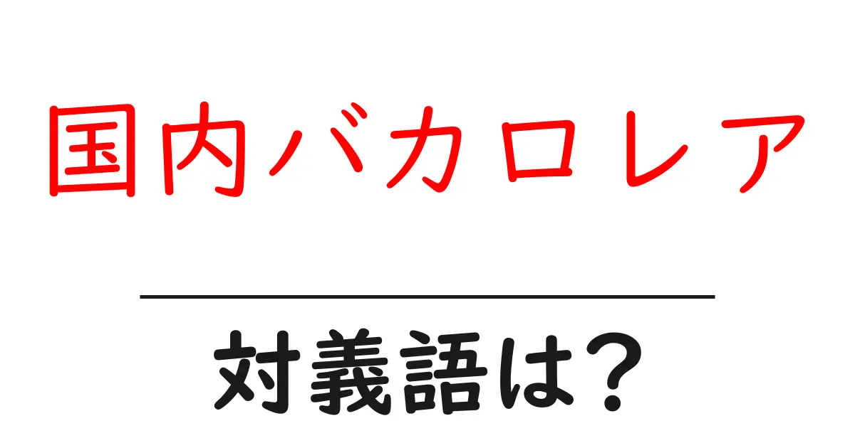 国内バカロレアの対義語・反対語を使用例を交えて分かりやすく解説!