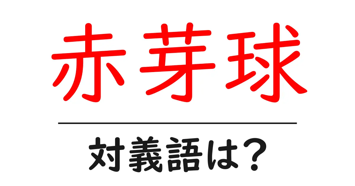 赤芽球の対義語・反対語を使用例を交えて分かりやすく解説!