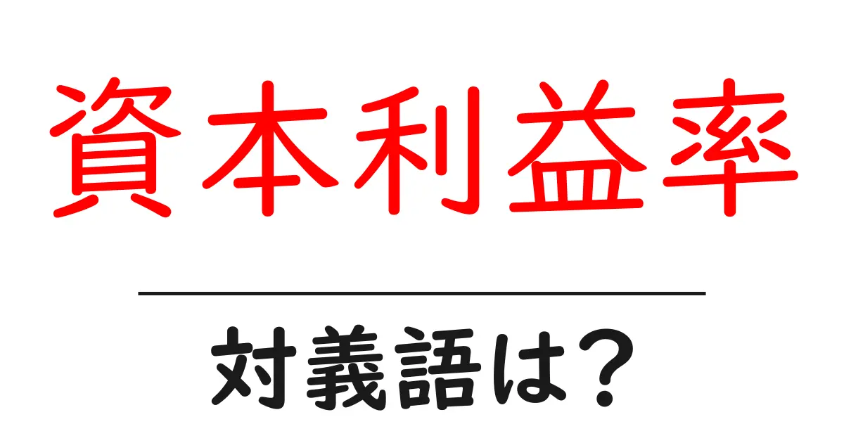 資本利益率の対義語・反対語を使用例を交えて分かりやすく解説!