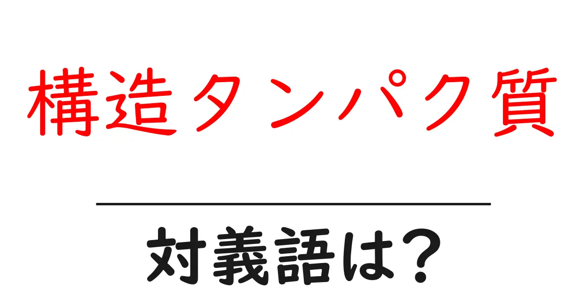 構造タンパク質の対義語・反対語を使用例を交えて分かりやすく解説!