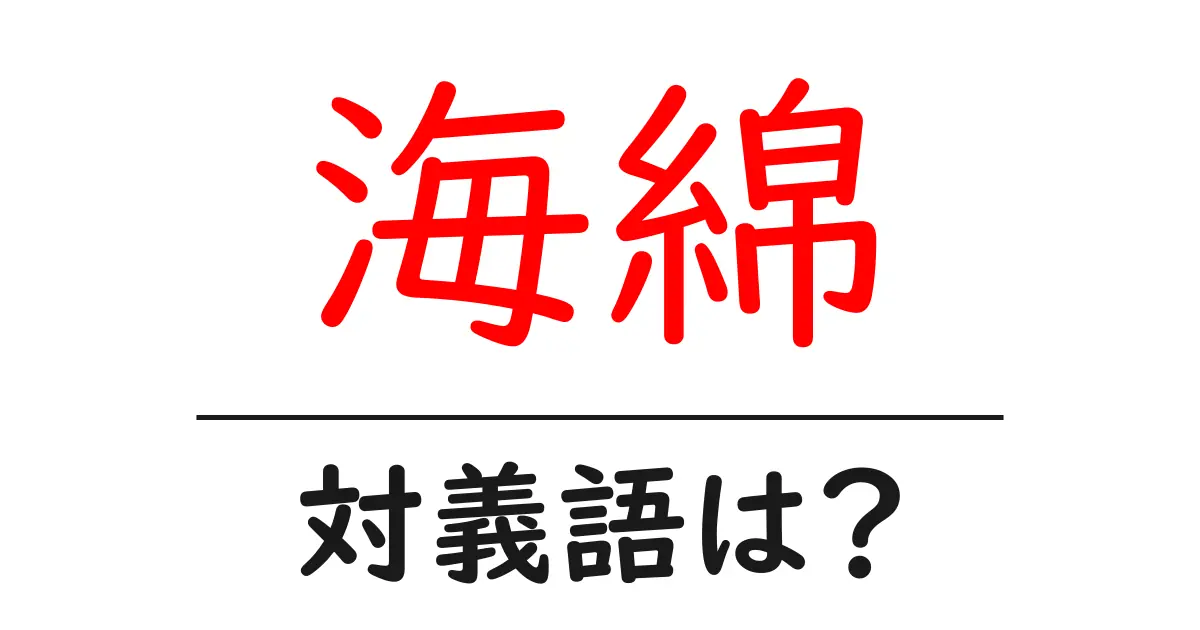 海綿の対義語・反対語を使用例を交えて分かりやすく解説!