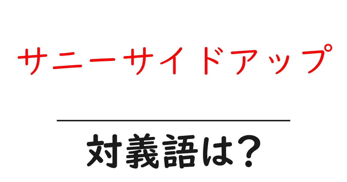 サニーサイドアップの対義語・反対語を使用例を交えて分かりやすく解説!