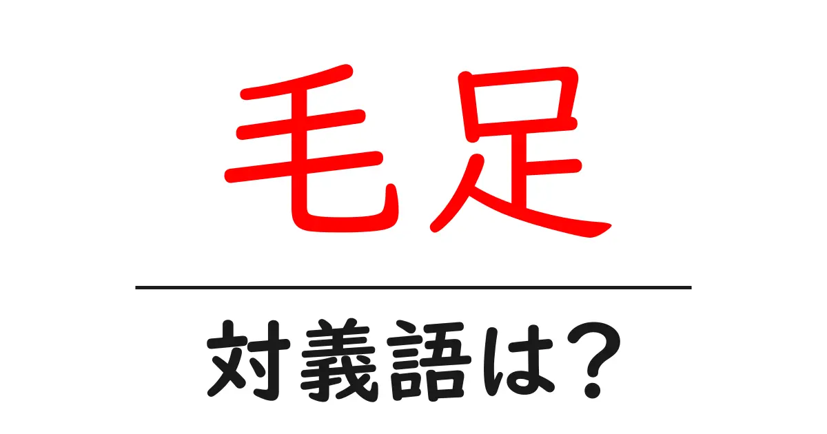 毛足の対義語・反対語を使用例を交えて分かりやすく解説!