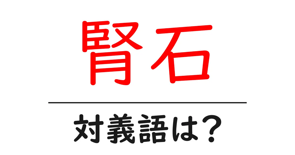 腎石の対義語・反対語を使用例を交えて分かりやすく解説!