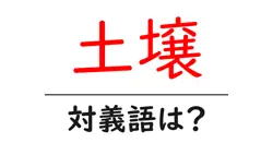 土壌の対義語・反対語を使用例を交えて分かりやすく解説！