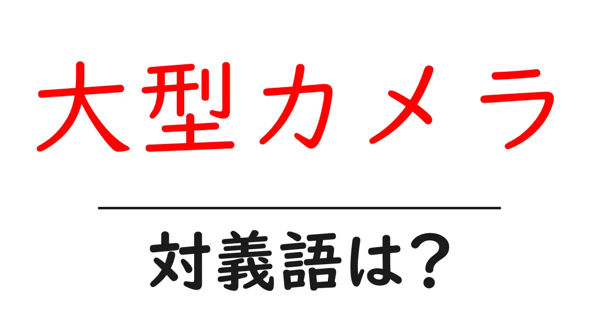 大型カメラの対義語・反対語を使用例を交えて分かりやすく解説!