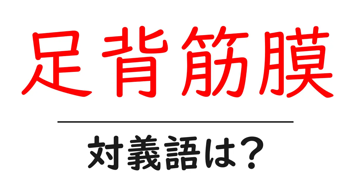 足背筋膜の対義語・反対語を使用例を交えて分かりやすく解説!