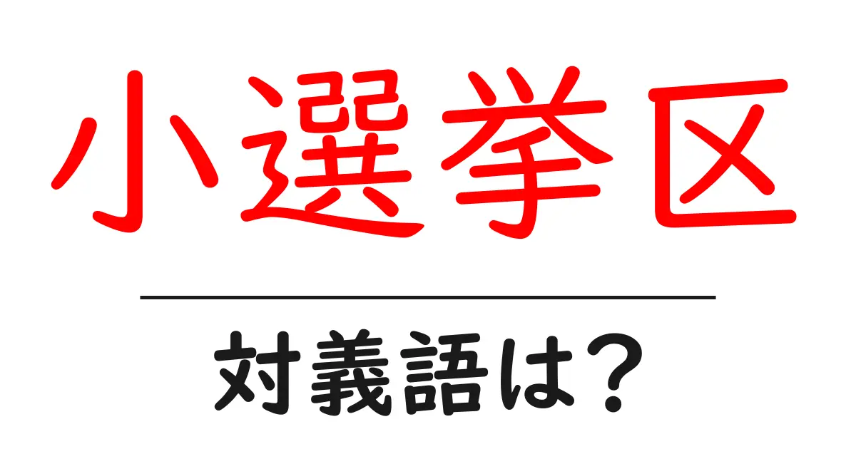 小選挙区の対義語・反対語を使用例を交えて分かりやすく解説!