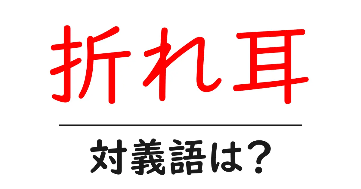 折れ耳の対義語・反対語を使用例を交えて分かりやすく解説!