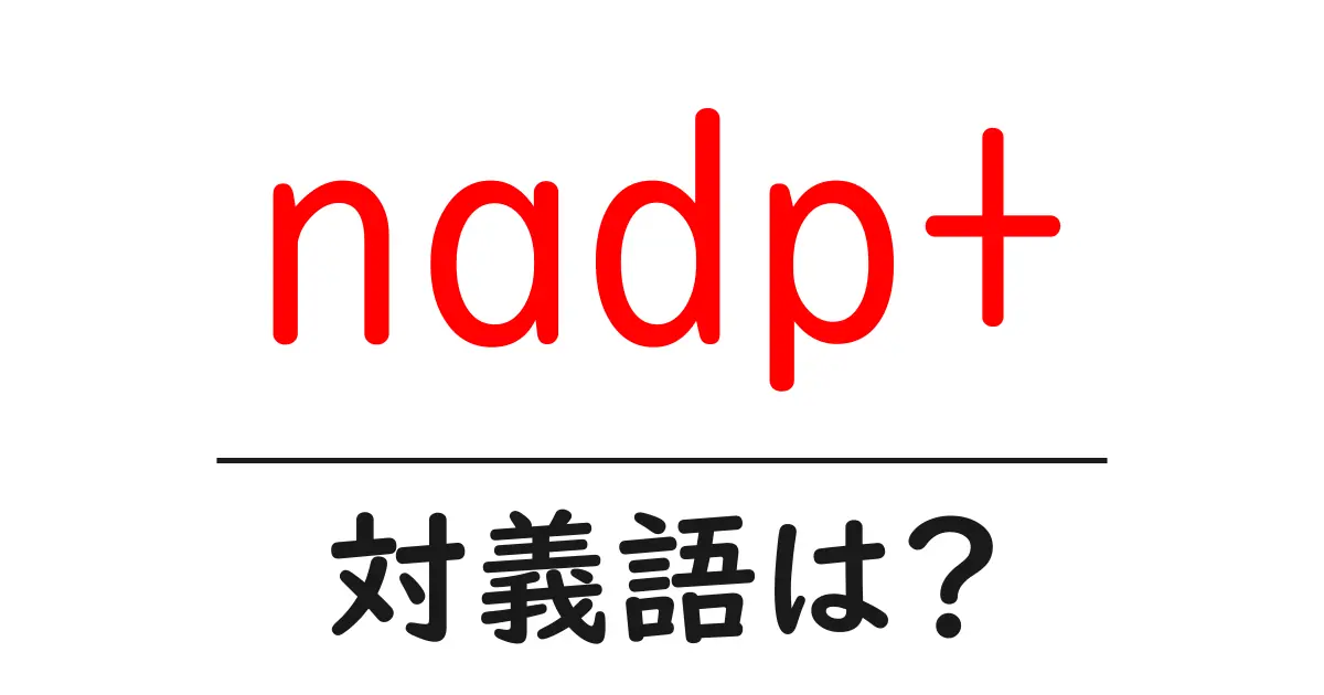 nadp+の対義語・反対語を使用例を交えて分かりやすく解説!