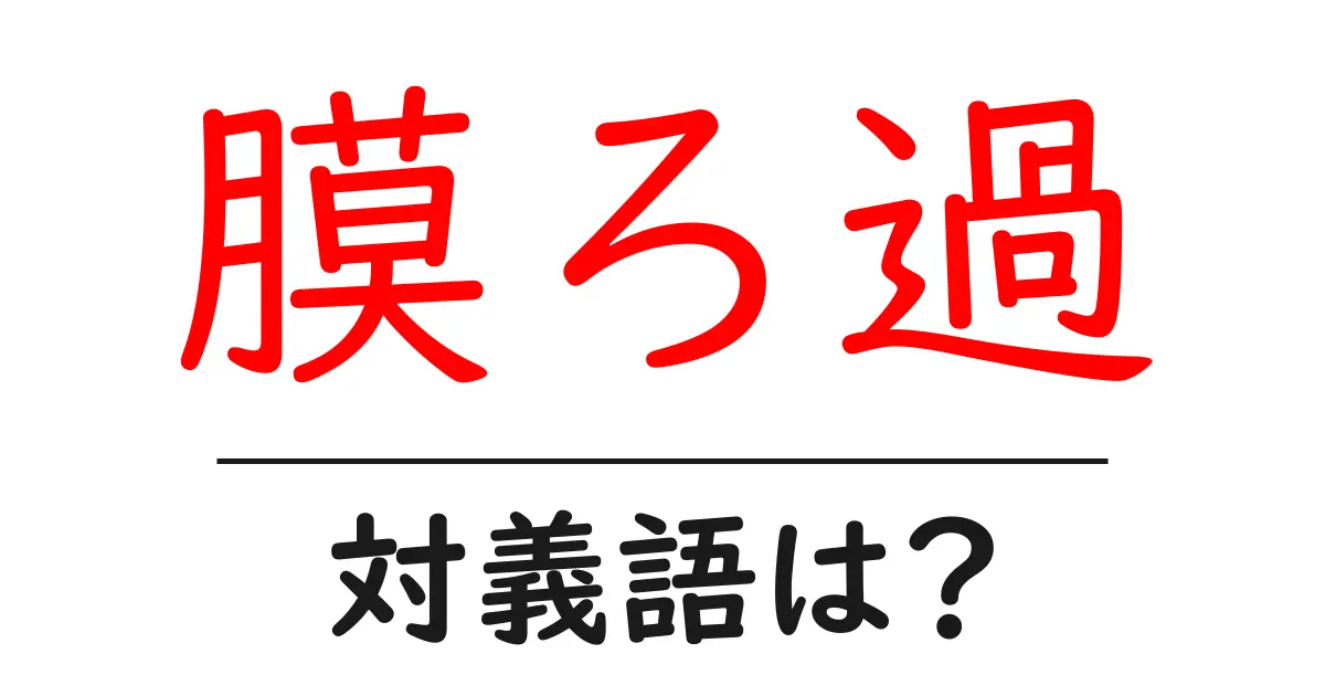 膜ろ過の対義語・反対語を使用例を交えて分かりやすく解説！