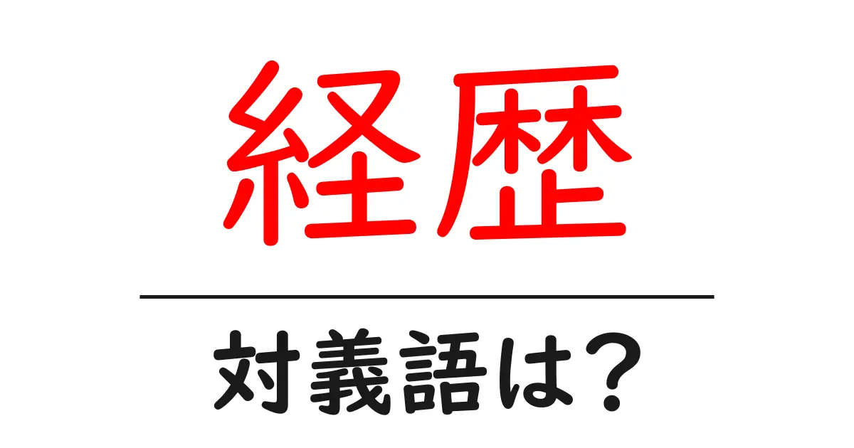 経歴の対義語・反対語を使用例を交えて分かりやすく解説!