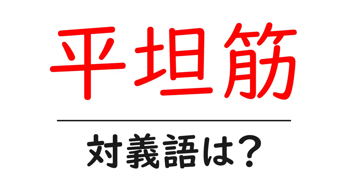平坦筋の対義語・反対語を使用例を交えて分かりやすく解説!