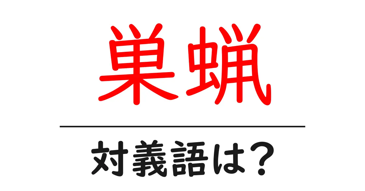 巣蝋の対義語・反対語を使用例を交えて分かりやすく解説!