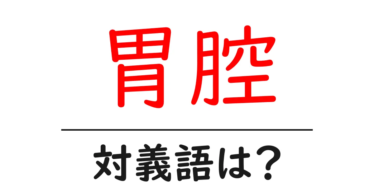 胃腔の対義語・反対語を使用例を交えて分かりやすく解説!