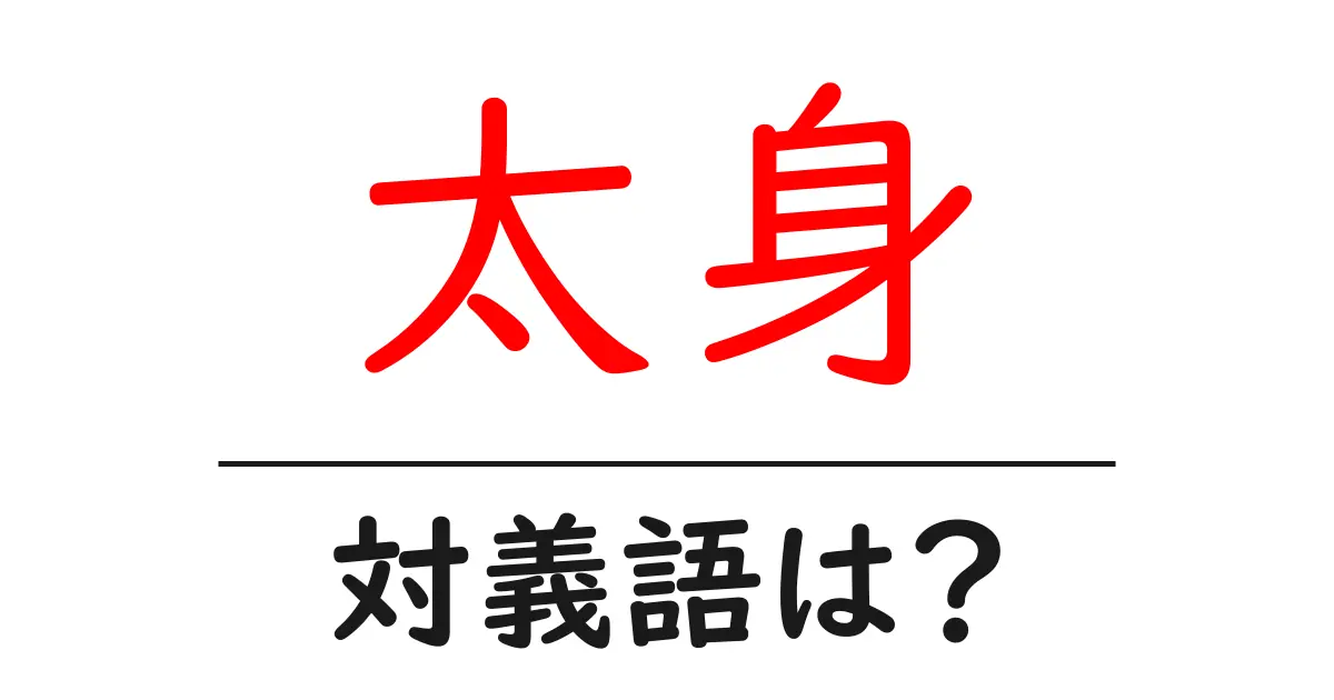 太身の対義語・反対語を使用例を交えて分かりやすく解説！