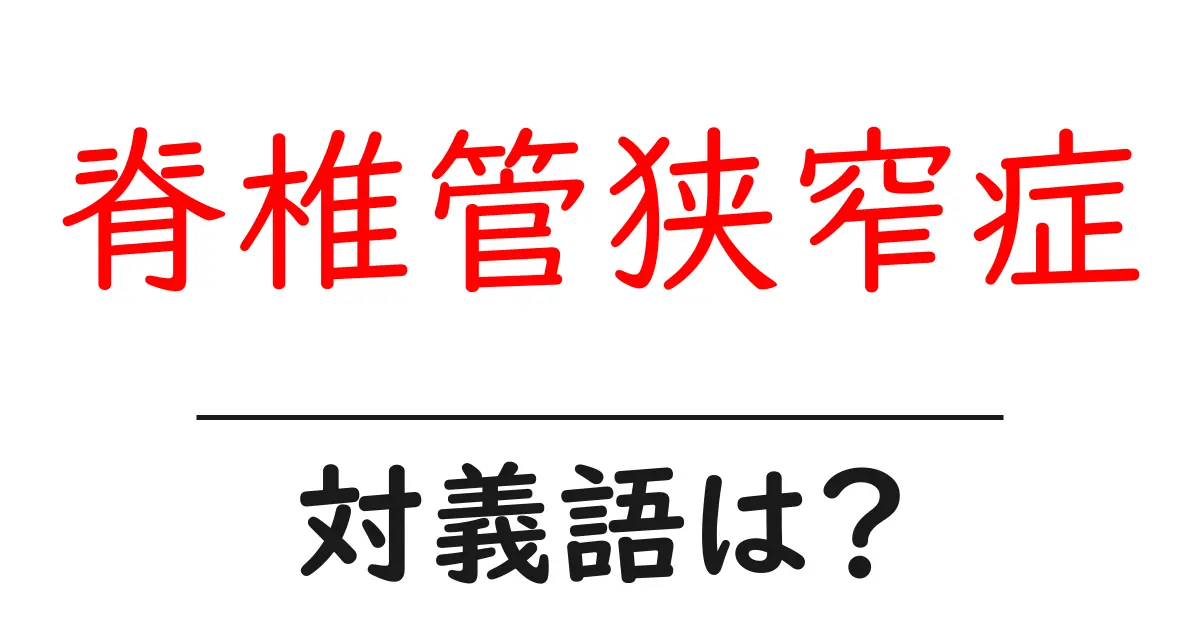 脊椎管狭窄症の対義語・反対語を使用例を交えて分かりやすく解説！