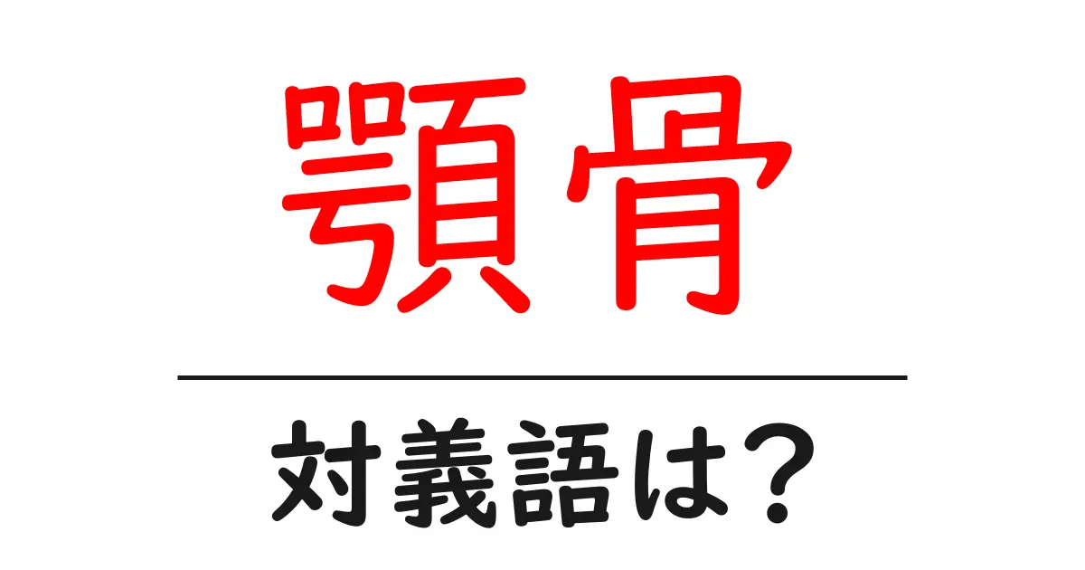 顎骨の対義語・反対語を使用例を交えて分かりやすく解説!