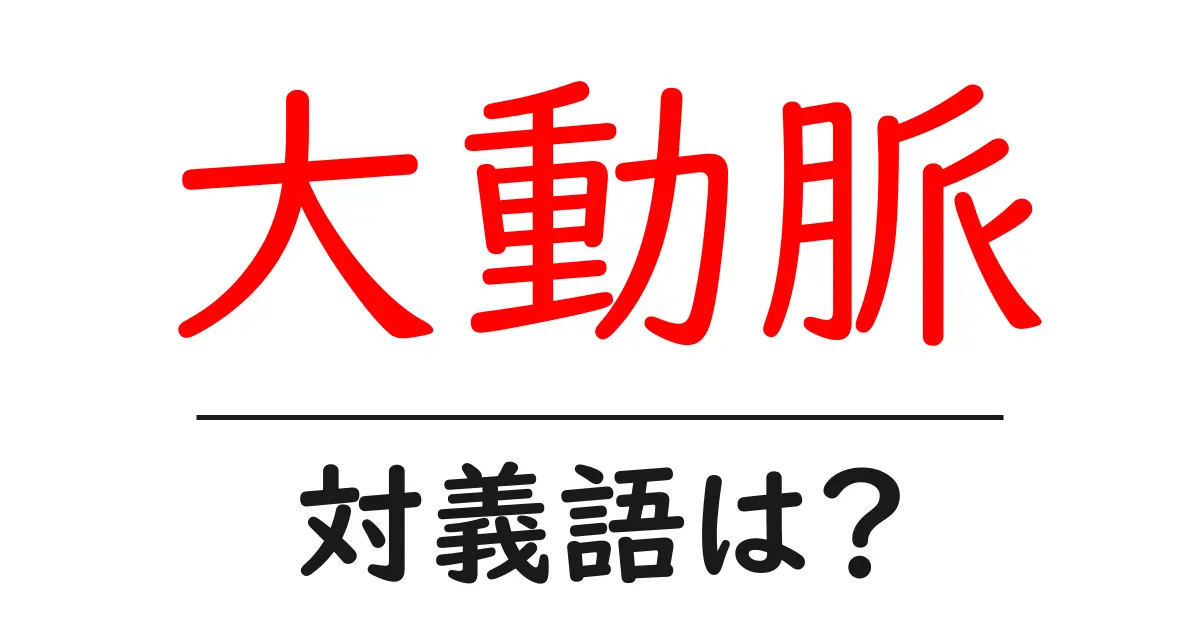 大動脈の対義語・反対語を使用例を交えて分かりやすく解説!