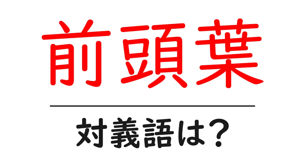 前頭葉の対義語・反対語を使用例を交えて分かりやすく解説!